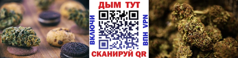 как найти наркотики Купино Canna-Cookies марихуана