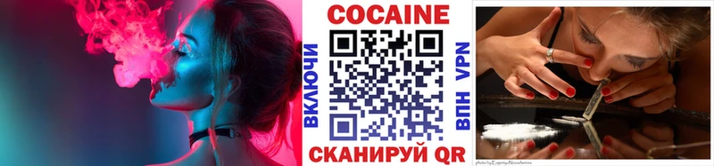 Cocaine FishScale  МЕГА ССЫЛКА  Купино  где продают  