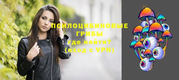 jwh Богородицк