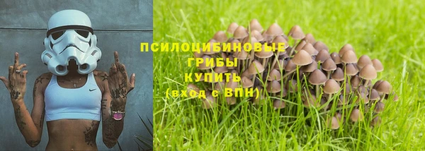 jwh Богородицк