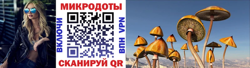 Галлюциногенные грибы Psilocybe цена наркотик Купино